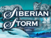 Siberian Storm